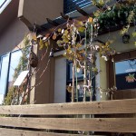 ナンディ・入口