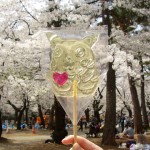4大宮公園べっ甲飴