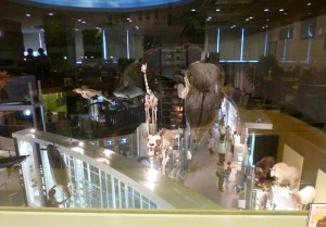 1-29チョコレート展2