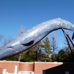 1-29チョコレート展1