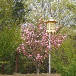 4-30山の桜