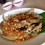 2-22ｱﾕﾀﾔﾗﾝﾁ4