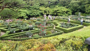 5-27古河庭園3